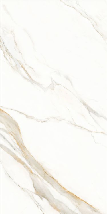 Time Lumidora Polished 24 x 48